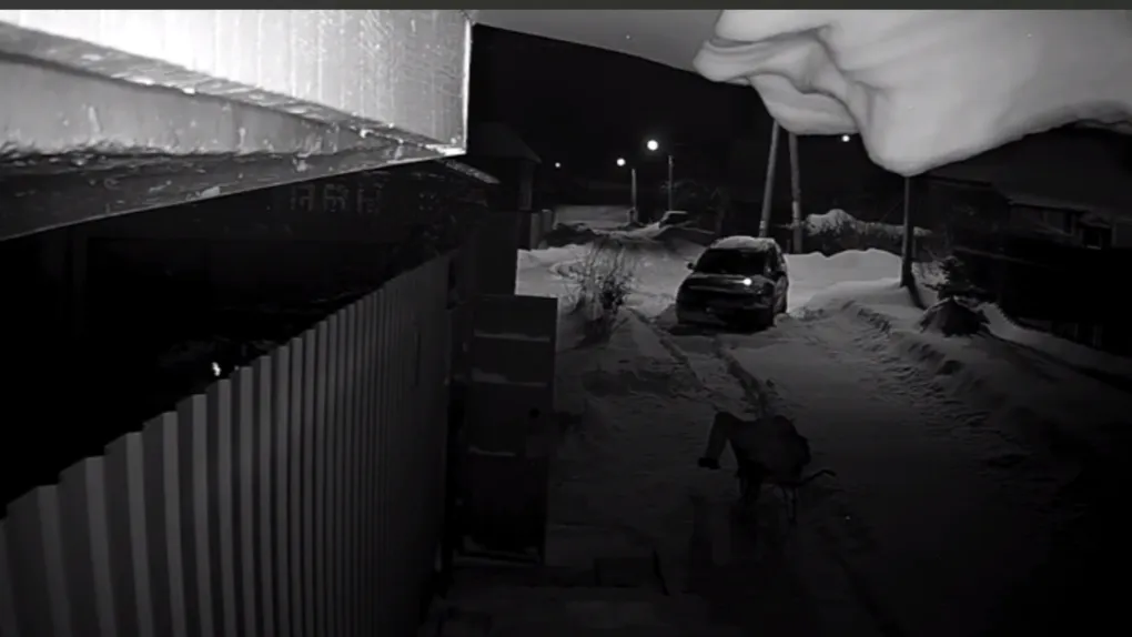 фото: Скриншот из видео.