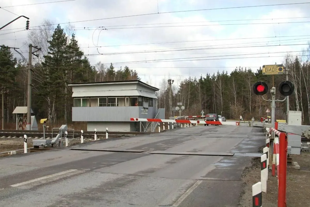 Фото: пресс-служба&nbsp;Министерства транспорта и дорожной инфраструктуры Московской области