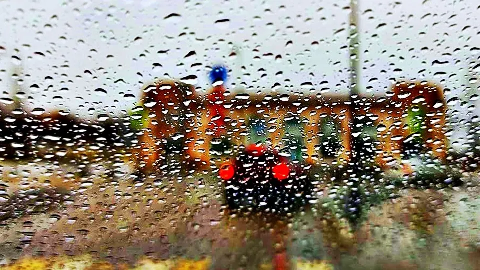 Фото: REGIONS/Алексей Селиверстов