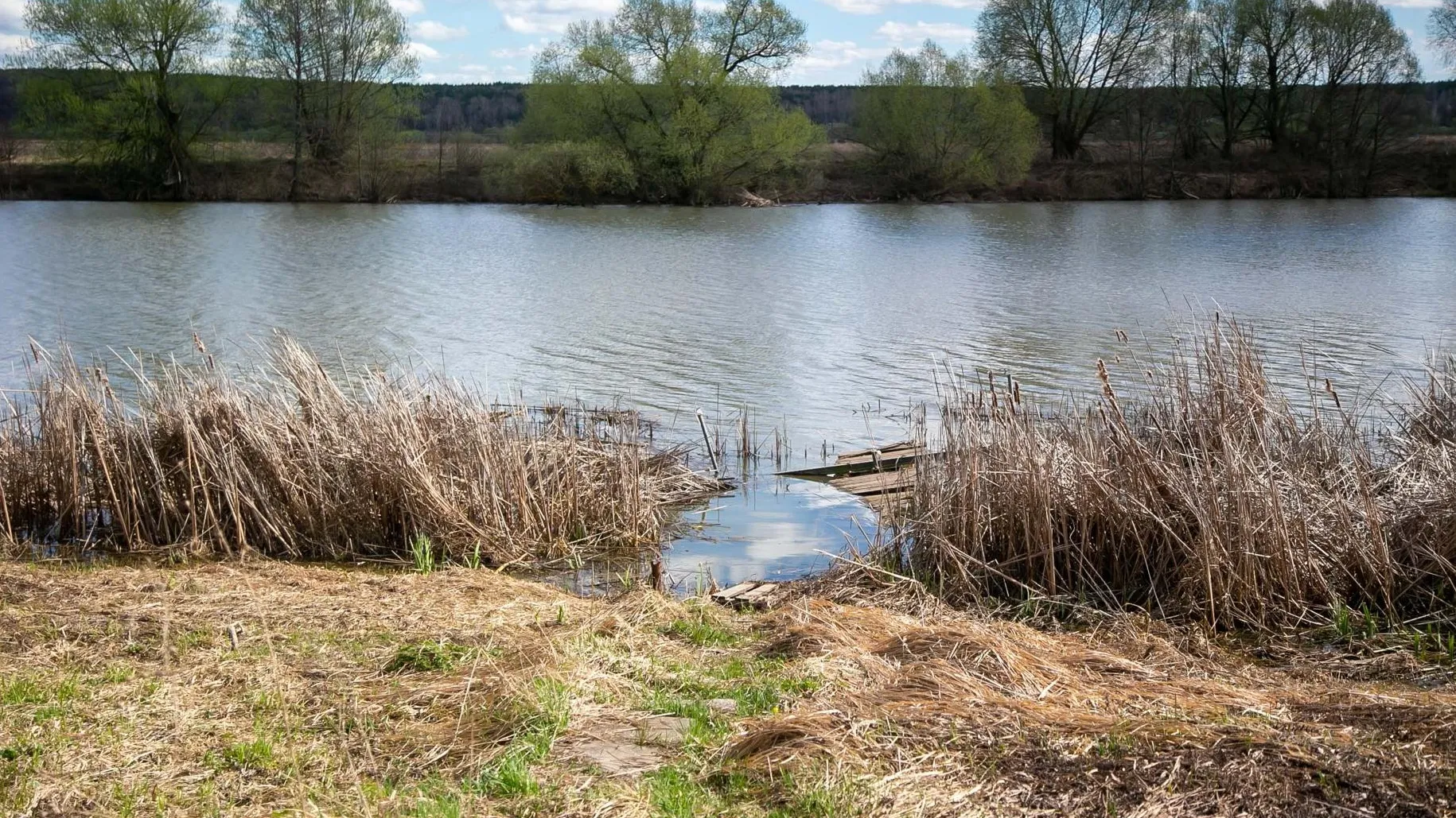 Фото: пресс-служба администрации г.о. Коломна
