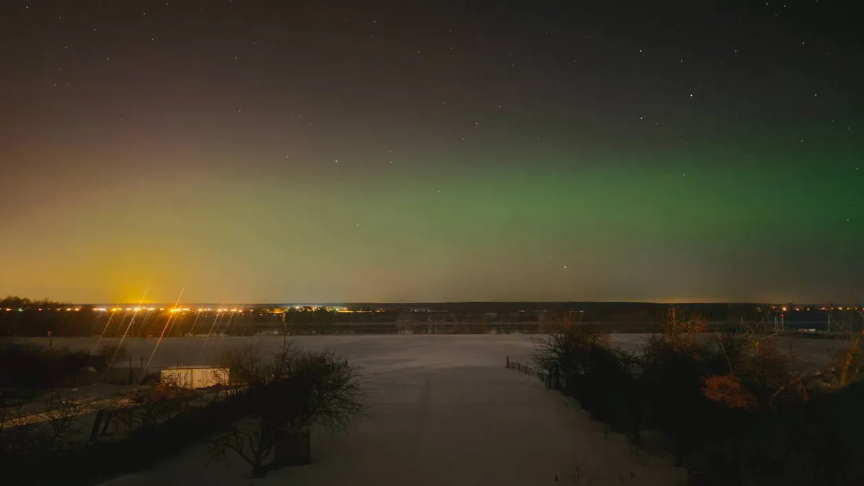 Фото: Социальные сети