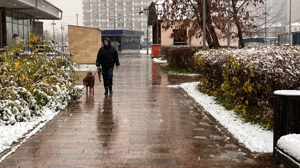 Фото: REGIONS/Елена Фурман