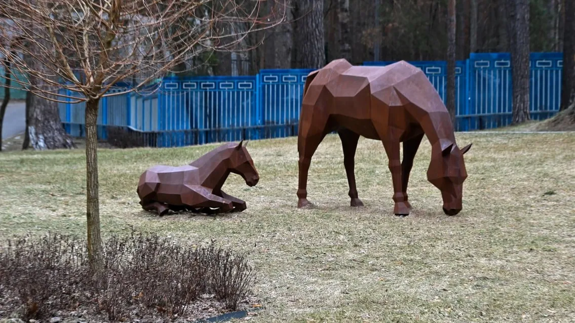 Фото: пресс-служба администрации г.о. Серпухов