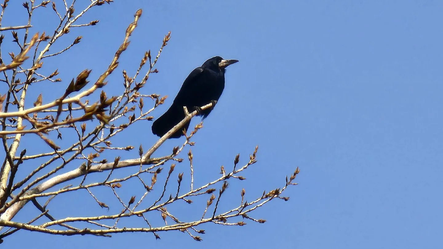 МедиаБанк Подмосковья/Мария Панина
