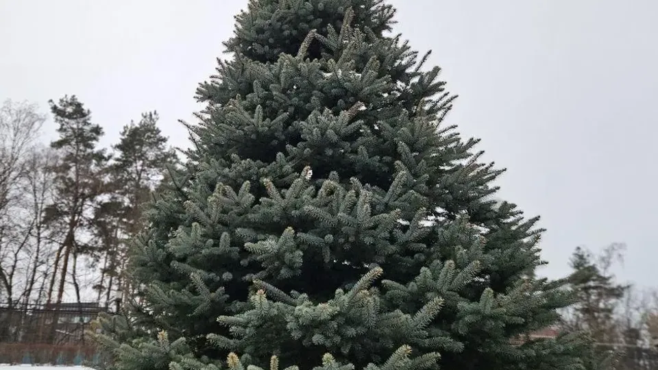 Фото: Министерство по содержанию территорий и государственному жилищному надзору Московской области