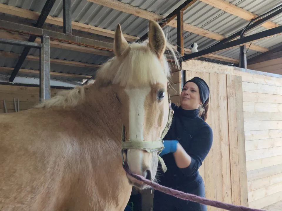 Фото: МедиаБанк Подмосковья/Анна Шолохова