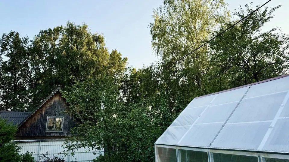 Фото: Министерство по содержанию территорий и государственному жилищному надзору