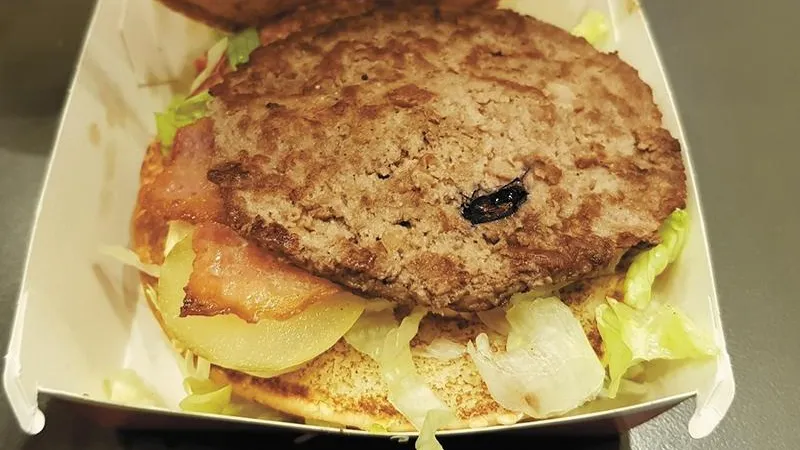 Ресторан в Королеве продал посетителю бургер с мясом таракана 