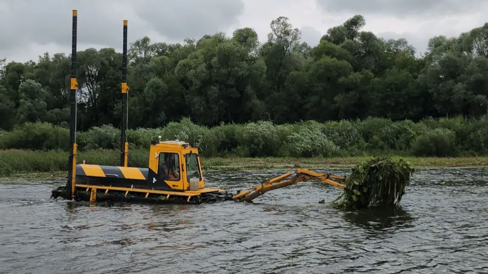 Фото: МедиаБанк Подмосковья/Скавронова Юлия