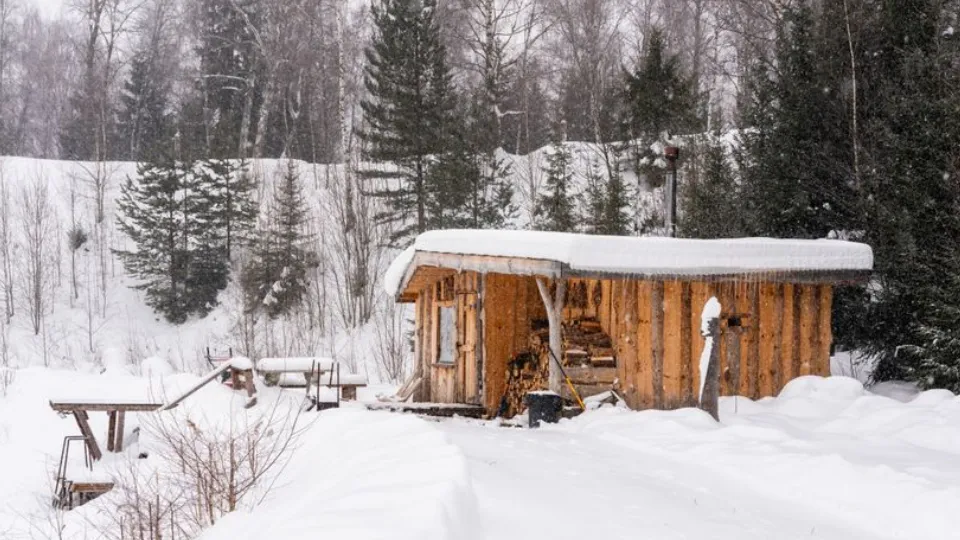 Фото: медиасток.рф