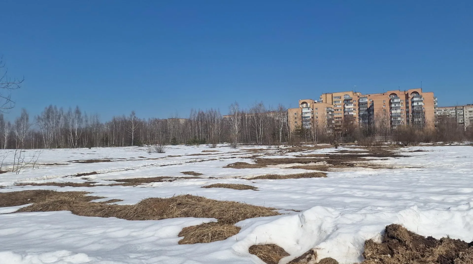 REGIONS/Ольга Шаронова