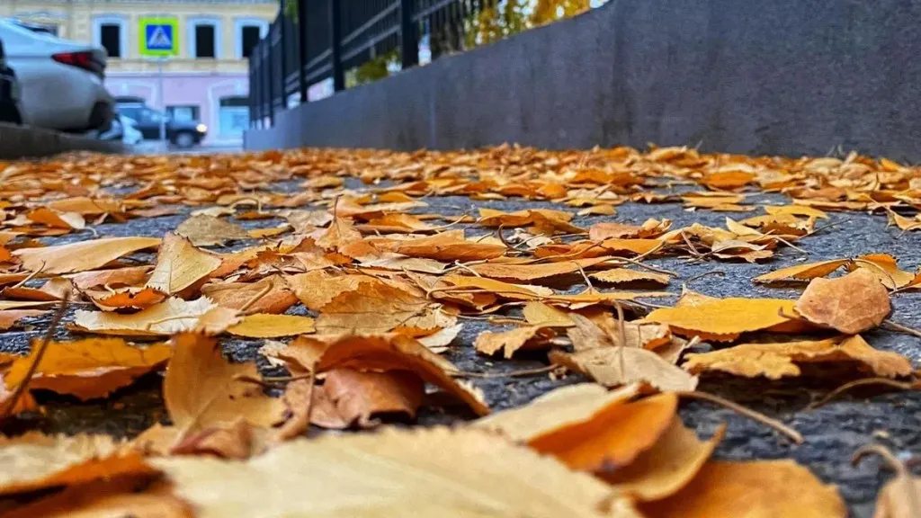 Фото: REGIONS/Антонина Гареева