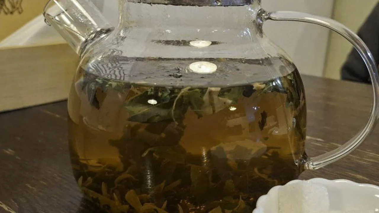 Юлия Габбасова