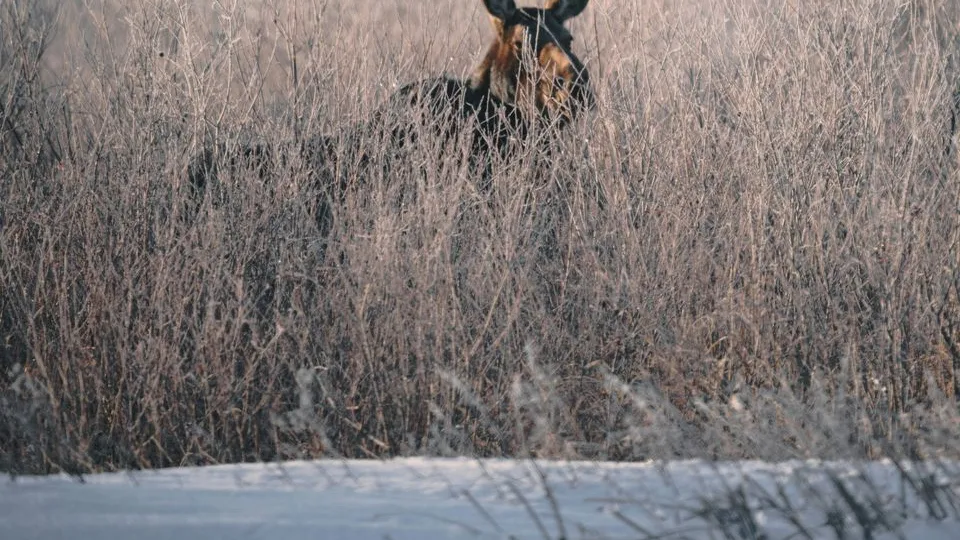 Фото: unsplash.com