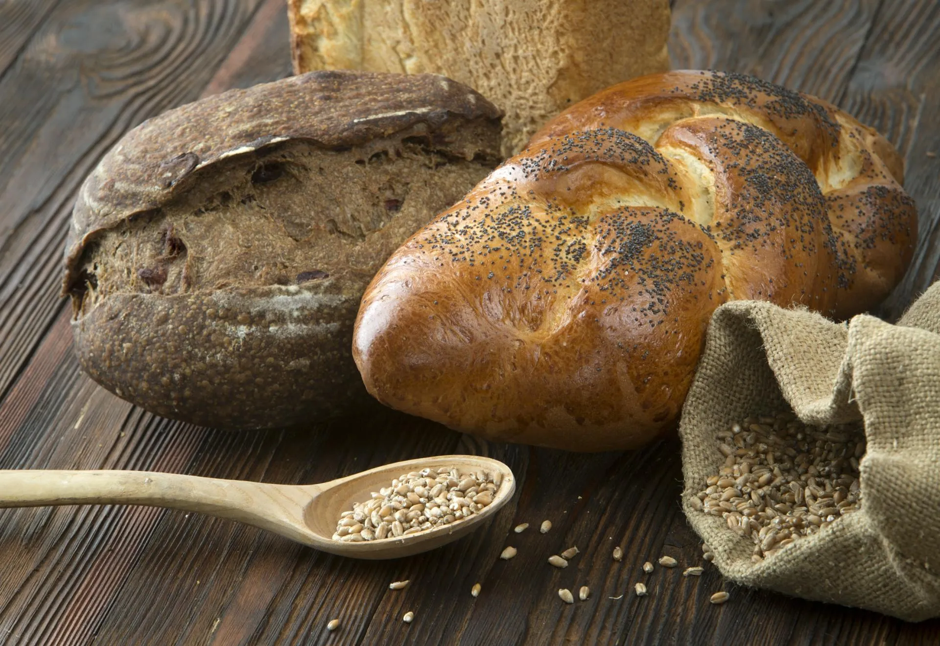 Nikolay Gyngazov/Global Look Press