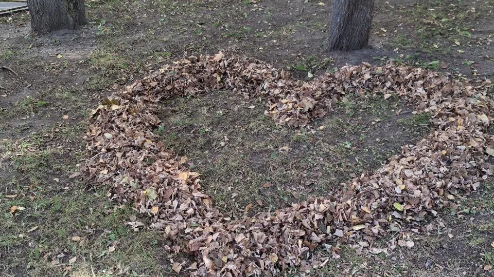 Фото: t.me/reutov_today