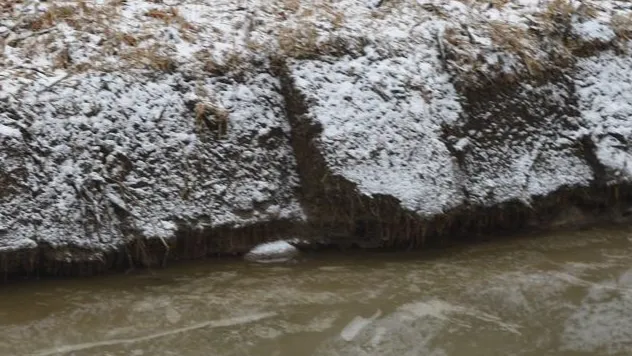 Минэкологии МО