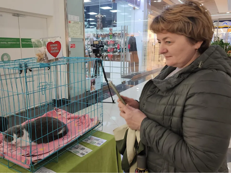 Фото: МедиаБанк Подмосковья/Наталья Лымарь