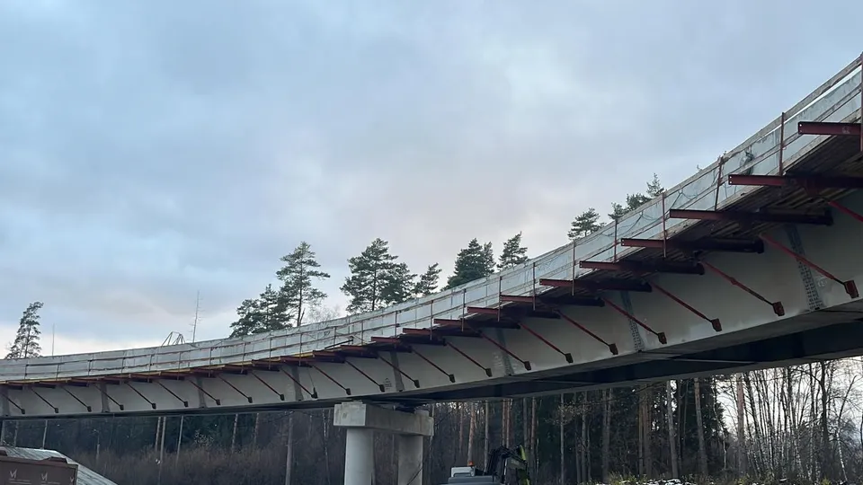 Фото: Елизавета Приймак