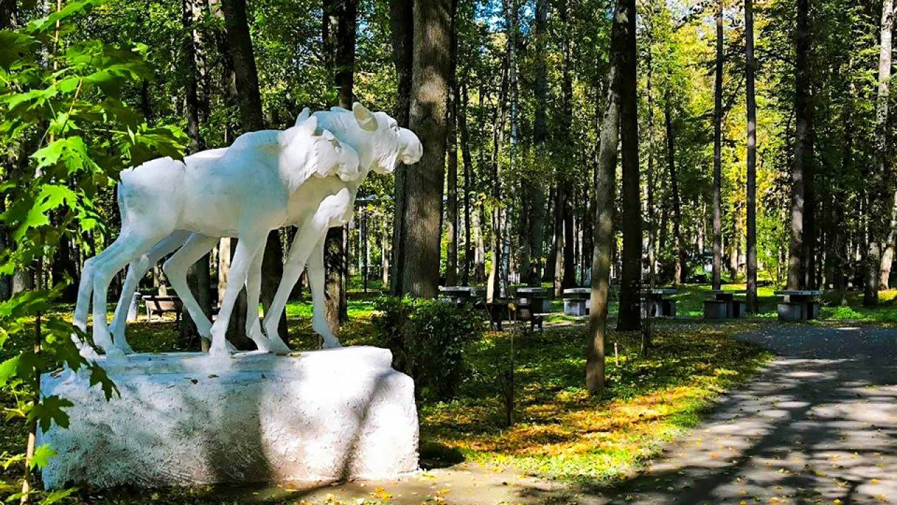 Картинка