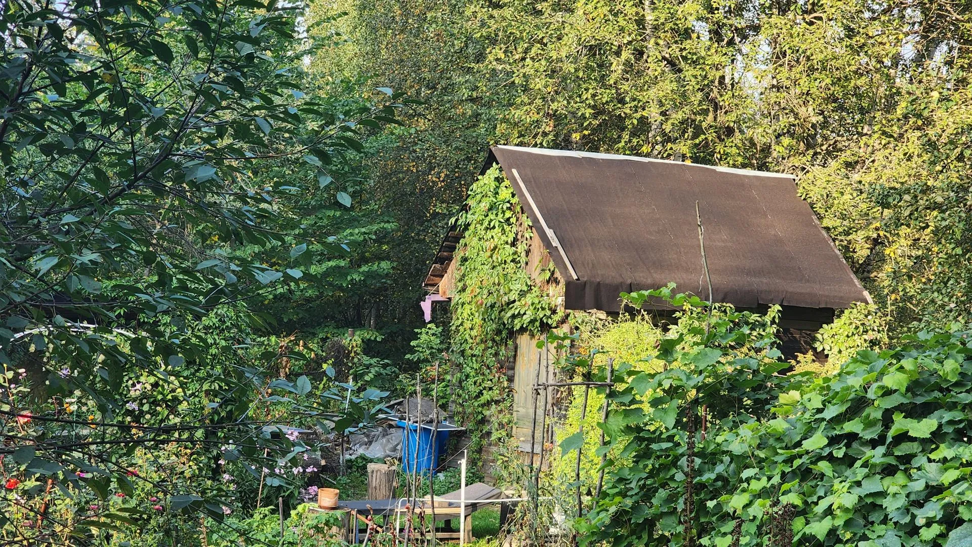 Фото: Роман Савельев