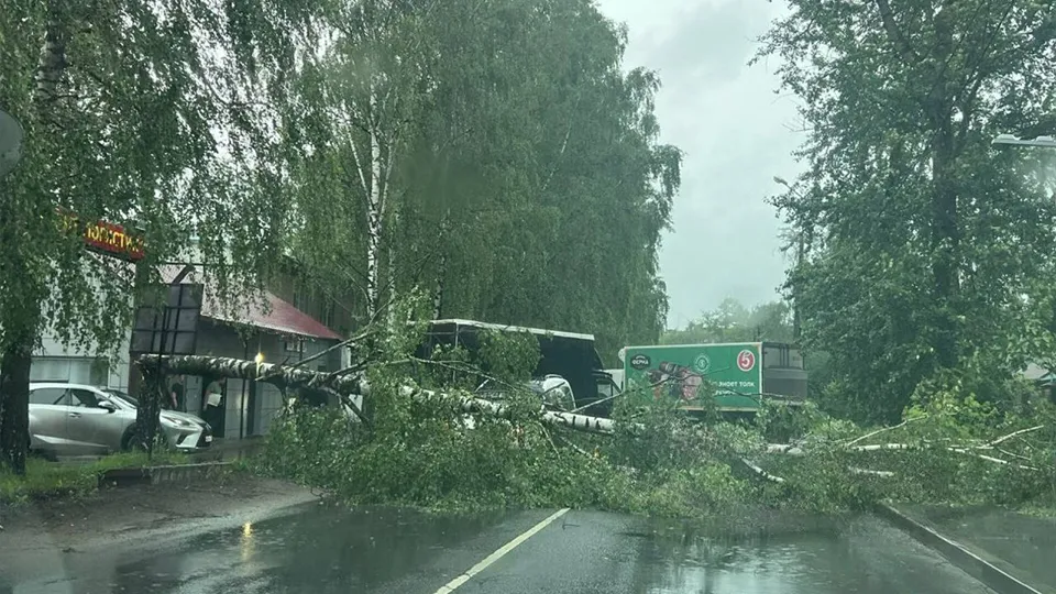 Фото: t.me/tg_korolev