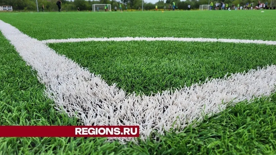 Фото: REGIONS/Александр Дрожжин