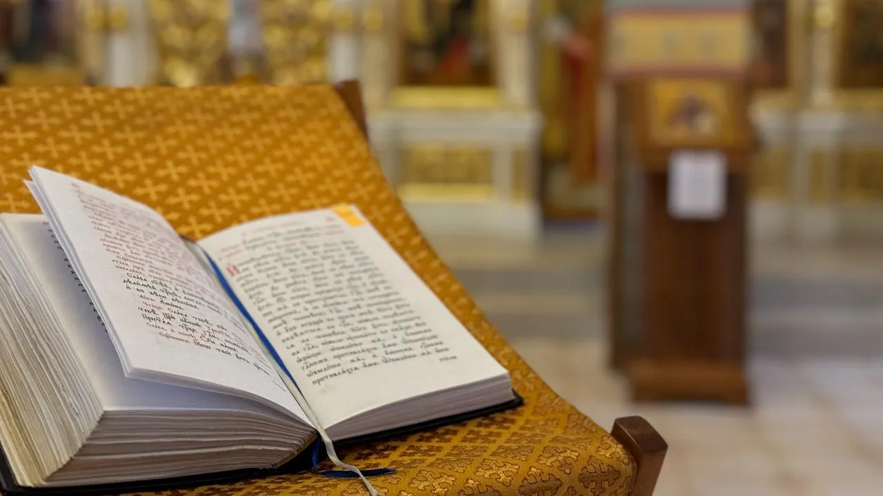 МедиаБанк Подмосковья/Полина Абраменко