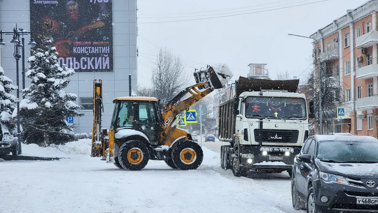 МедиаБанк Подмосковья/Ольга Аввакумова