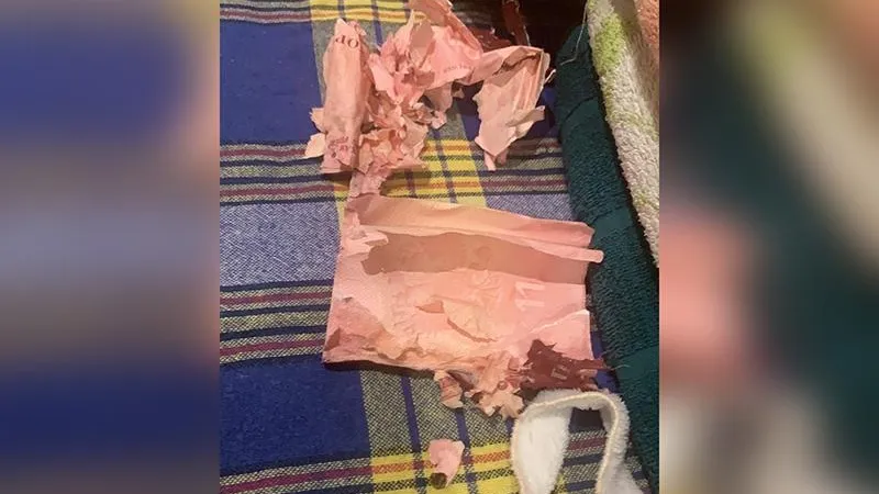 Татьяна Кузнецова
