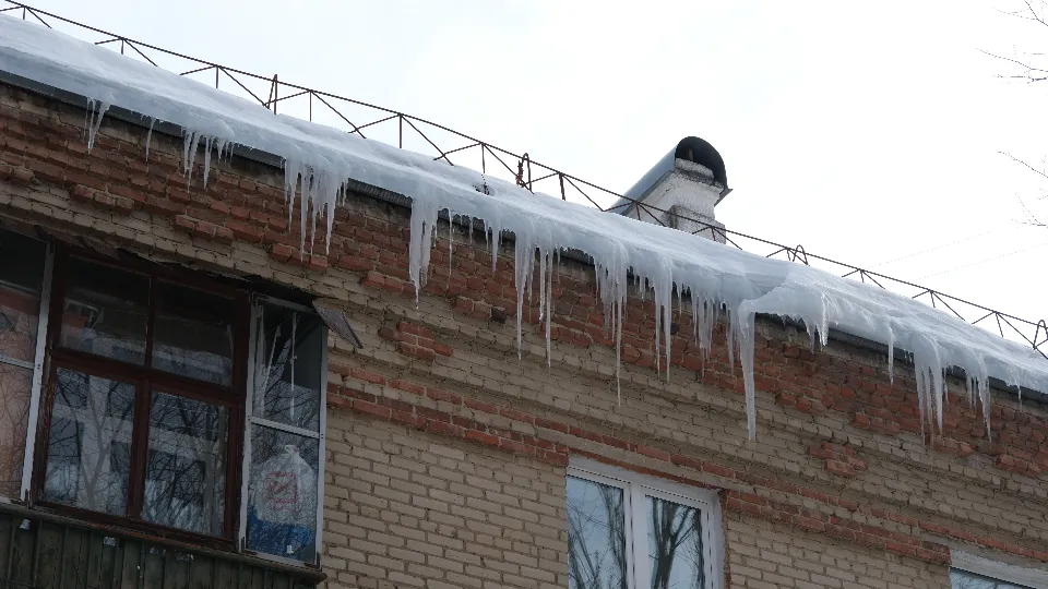 Фото: МедиаБанк Подмосковья/Александр Щербаков