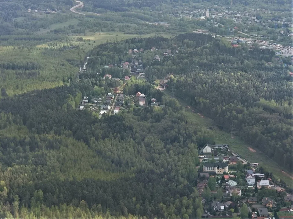 Фото: Комитет лесного хозяйства  Московской области