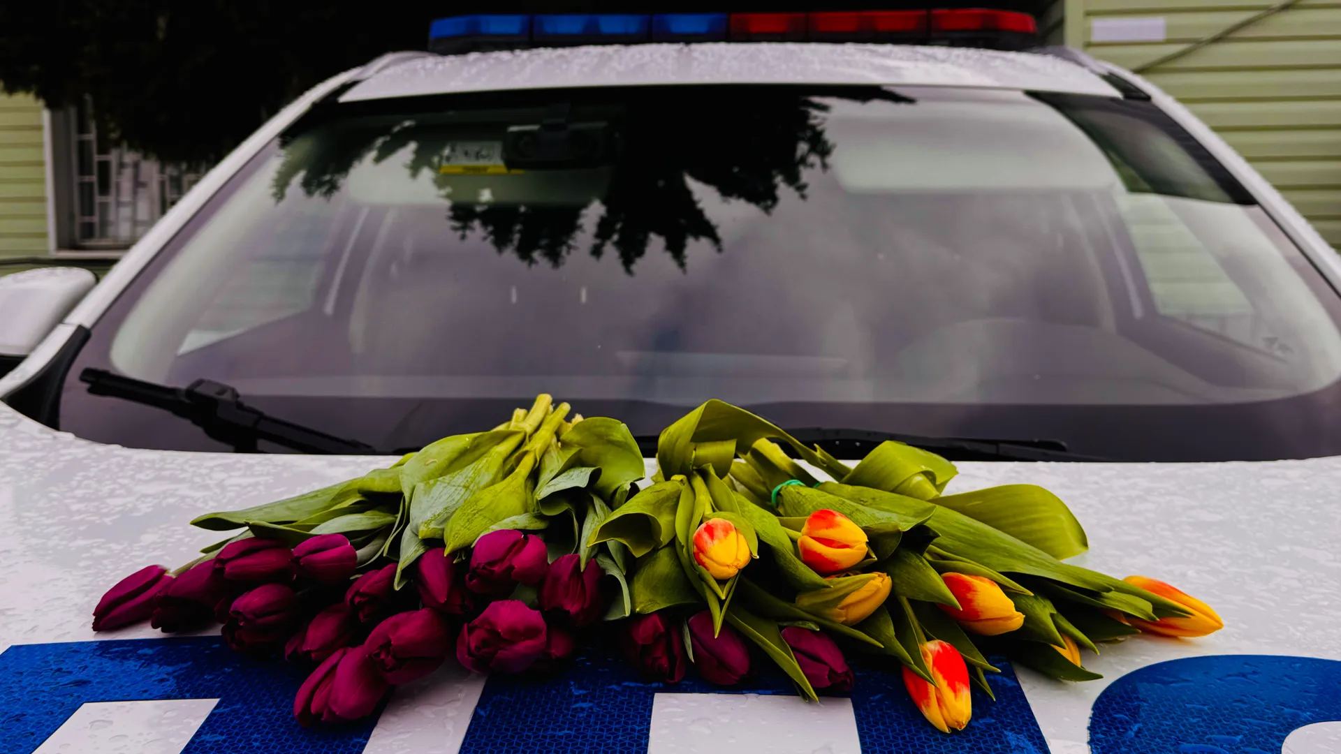 ГИБДД Наро-Фоминска