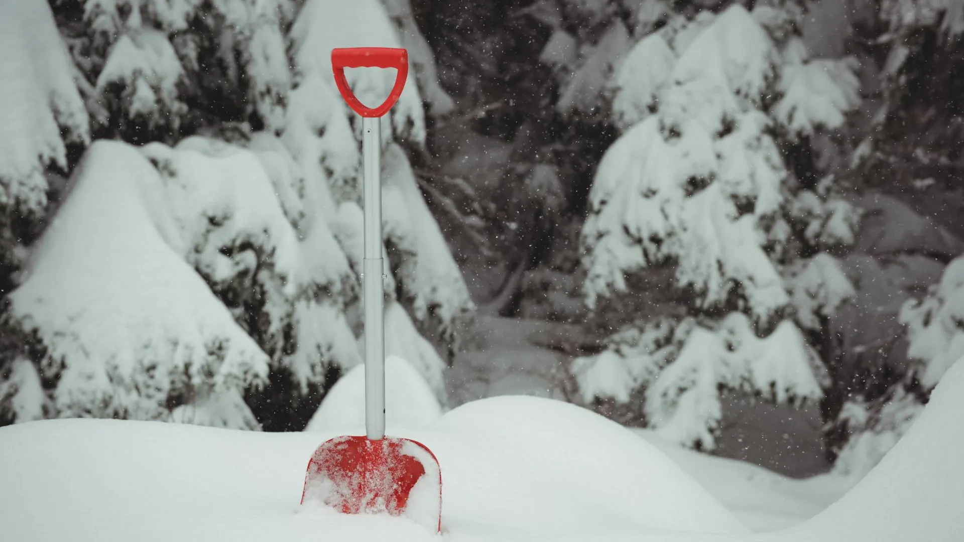 Изображение от wavebreakmedia_micro на Freepik