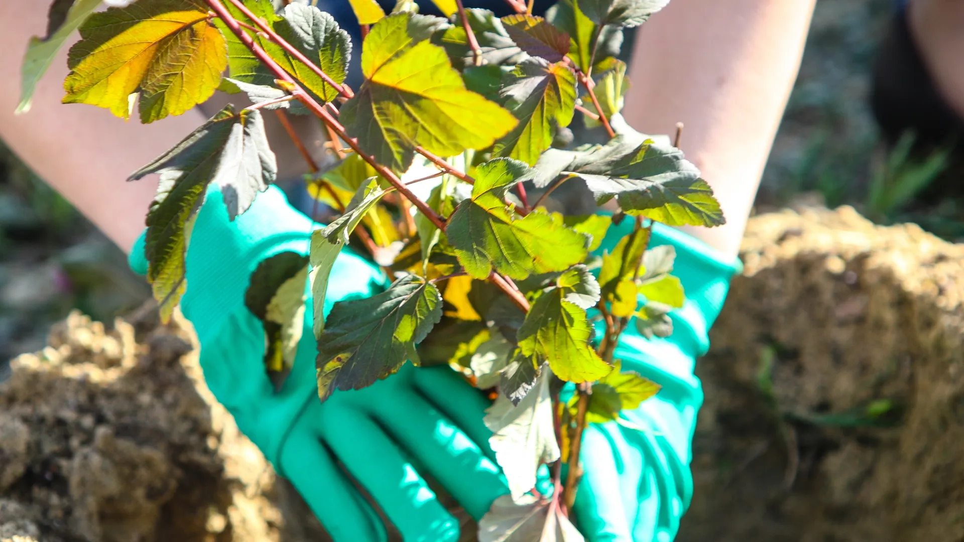 Фото: пресс-служба администрации г.о. Кашира