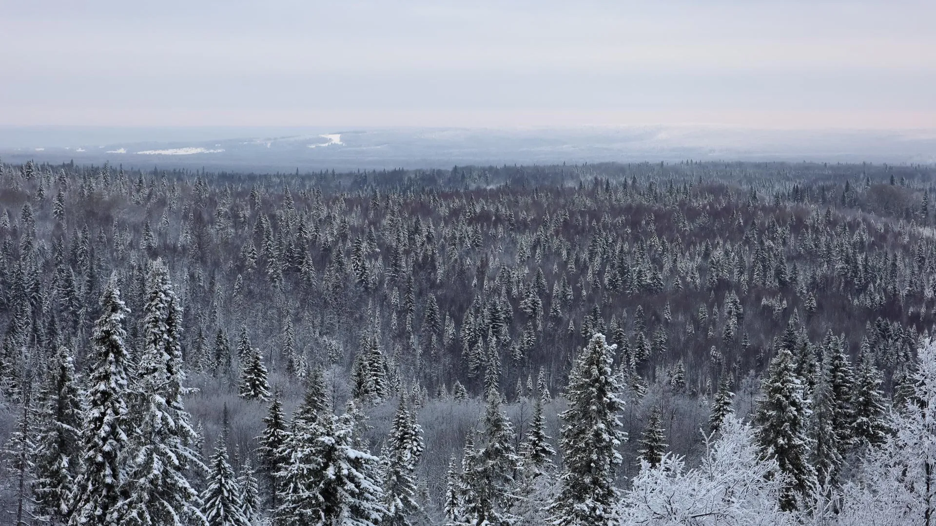 Elena Mayorova/Global Look Press