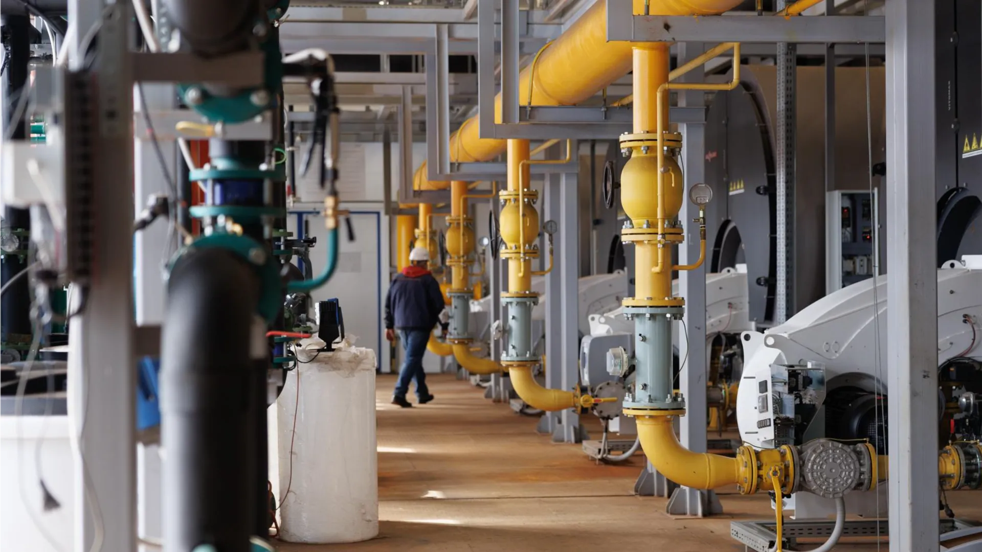 Фото: пресс-служба администрации Орехово-Зуевского городского округа