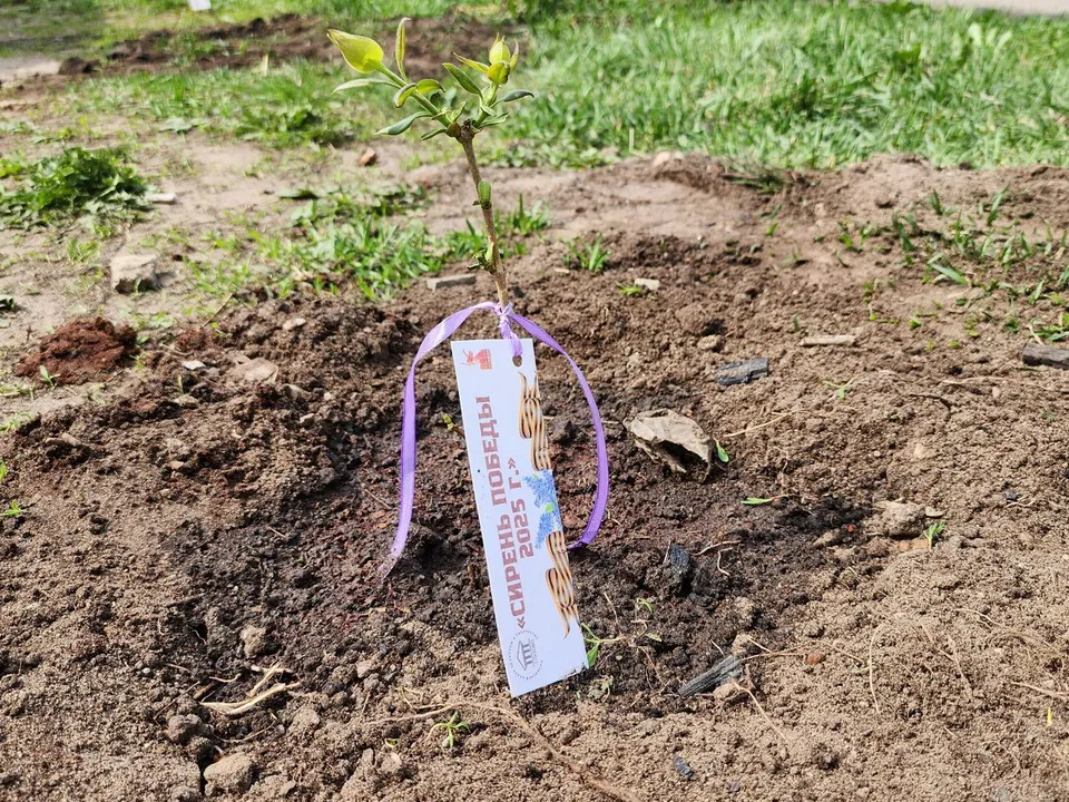 Фото: Ксения Пашуто