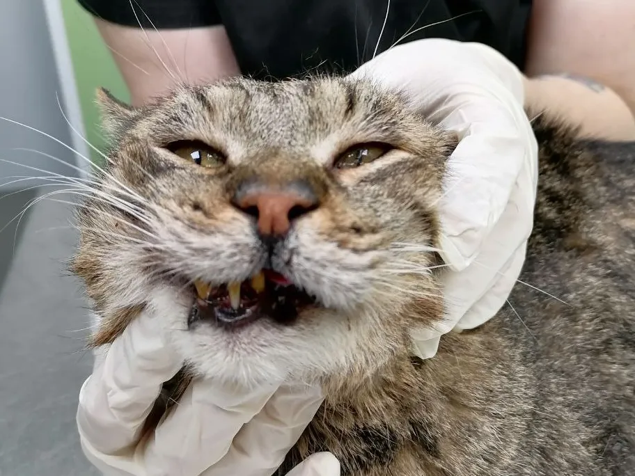 Фото: Натали М.