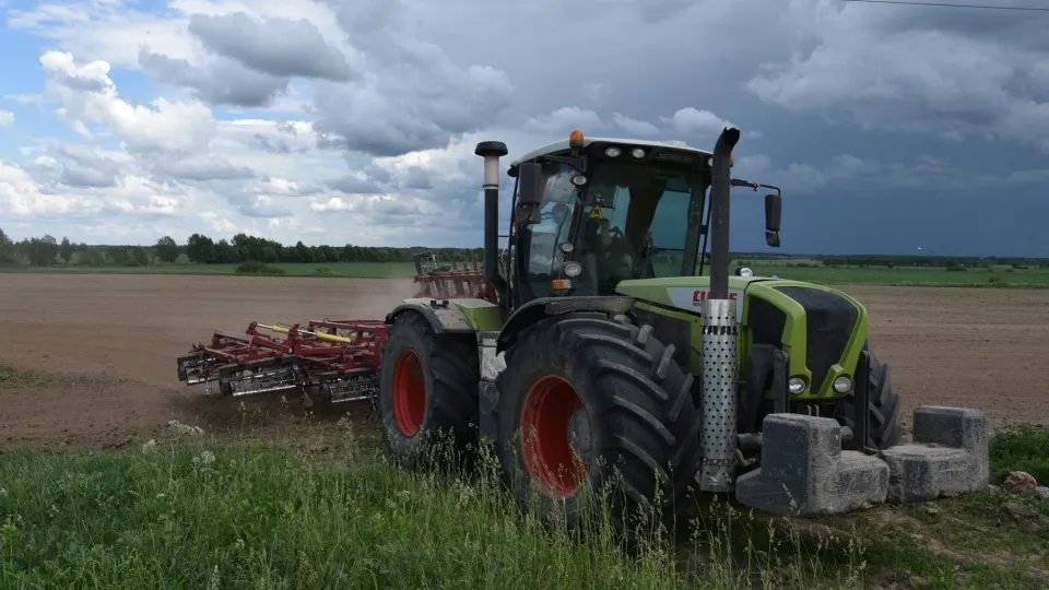 Фото: Владимир Останин