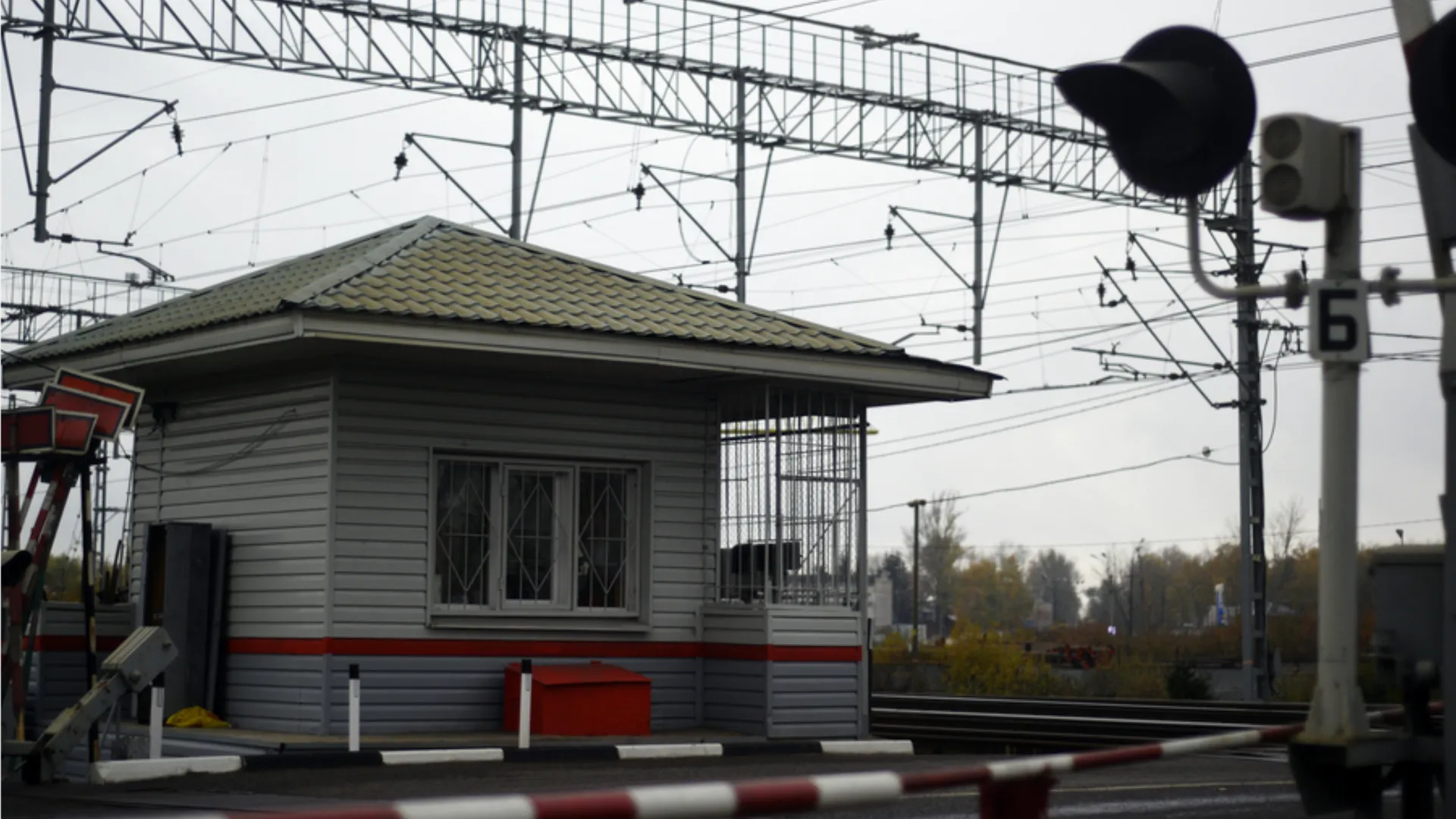 Фото: медиасток.рф