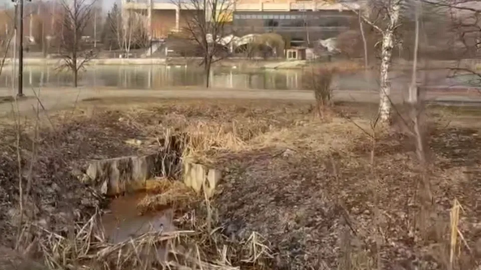 Фото: управление экологии городского округа Мытищи