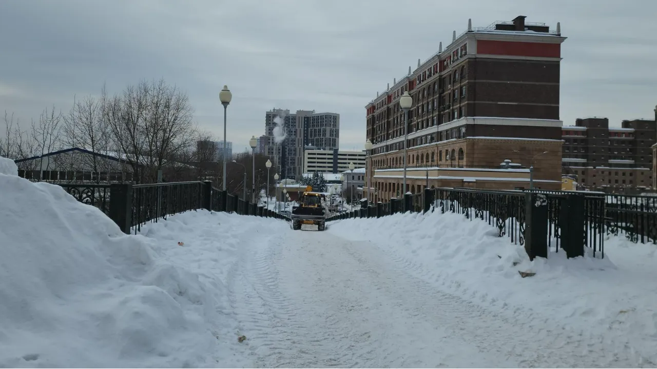 МедиаБанк Подмосковья/Максим Сафронов