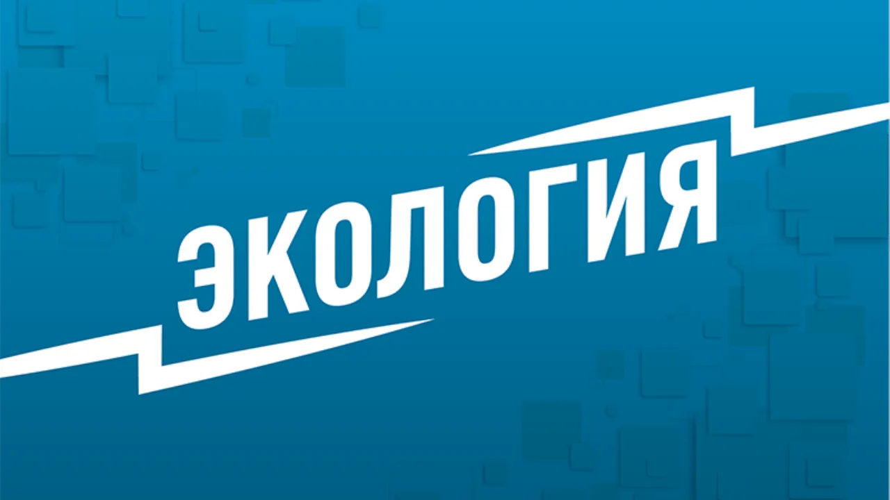 Подольские активисты очистили берег реки Шепчинка