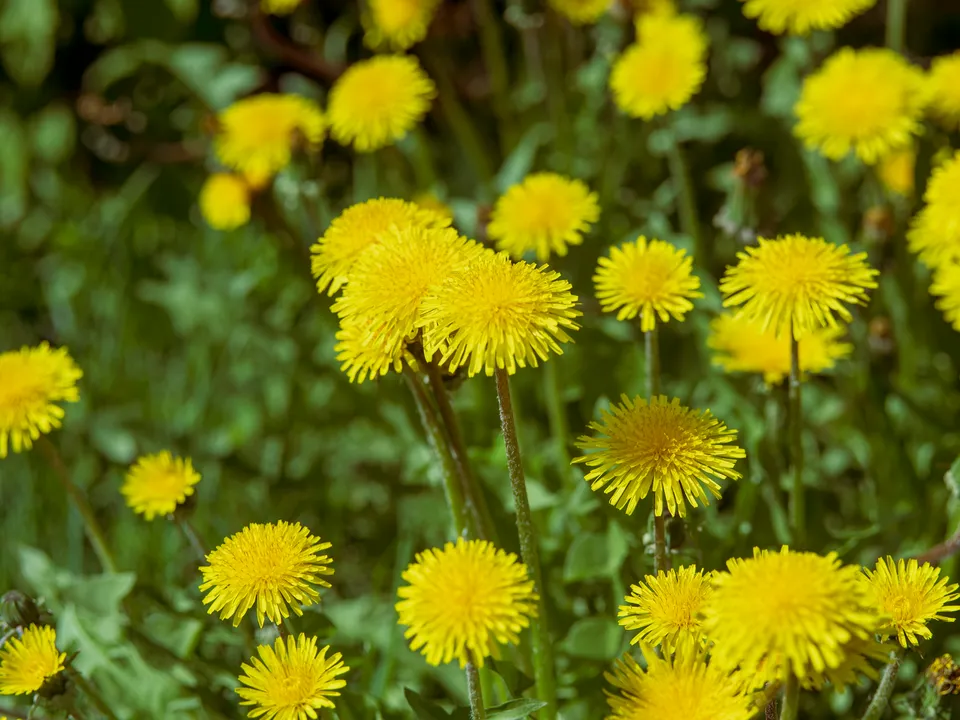 Фото: REGIONS/Наталия Надточая