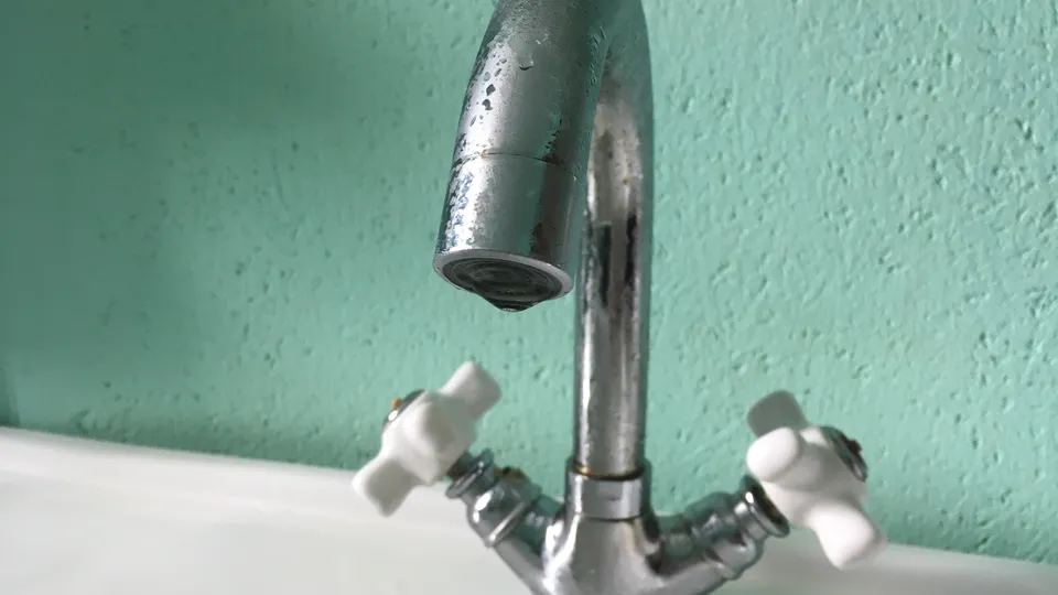 Фото: Евгений Лавряшин