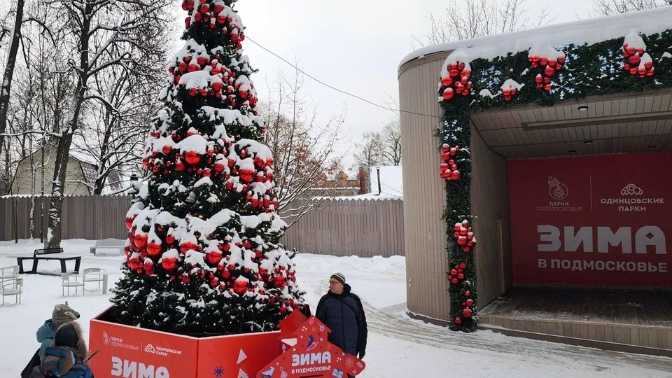 Фото: Хавива Фонина