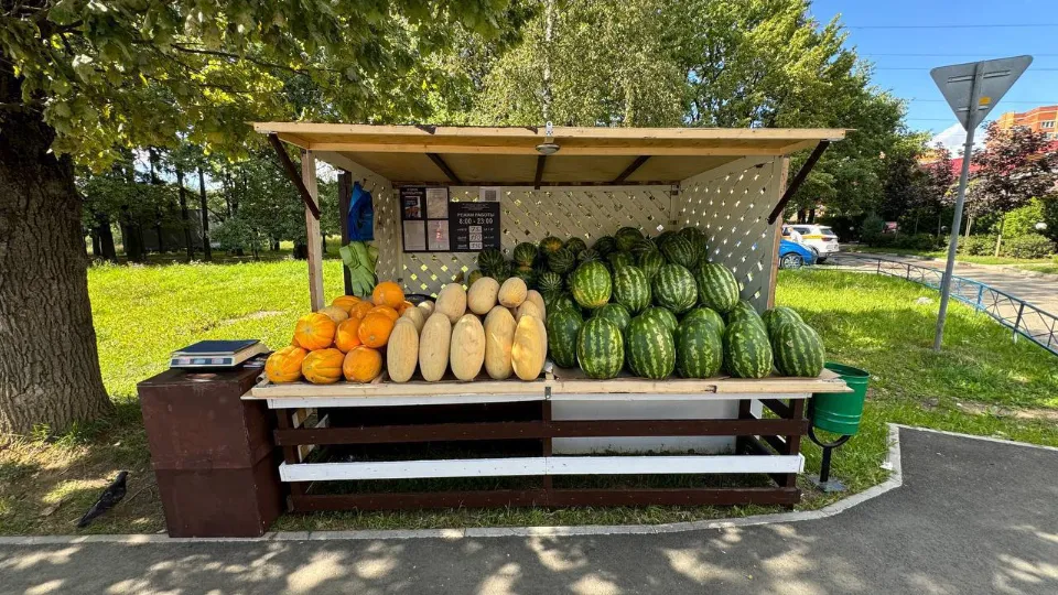 Фото: пресс-служба Министерства сельского хозяйства и продовольствия Московской области