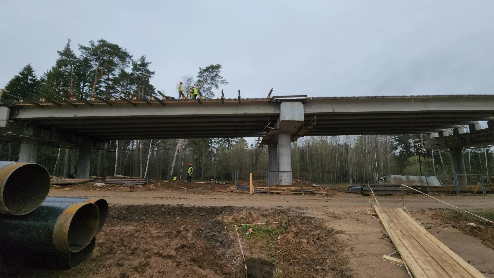 Фото: Артем Мишуков