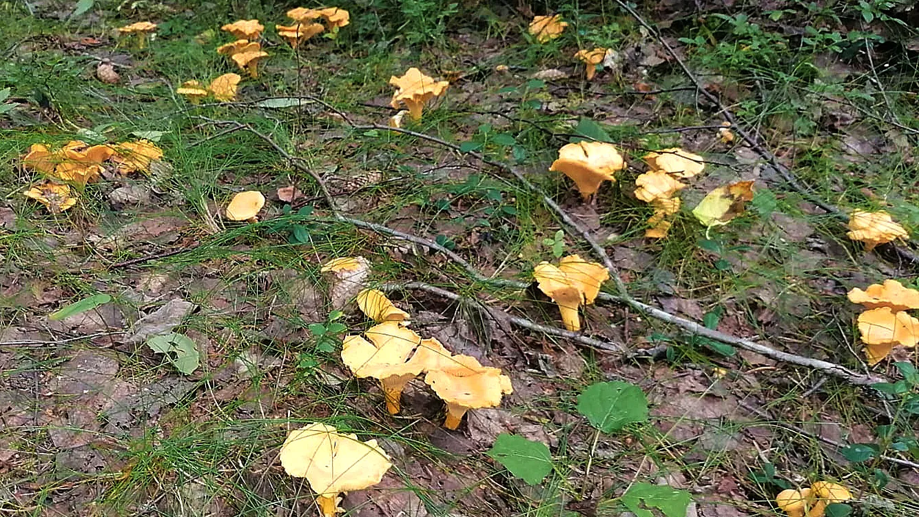 Фото: freepik.com